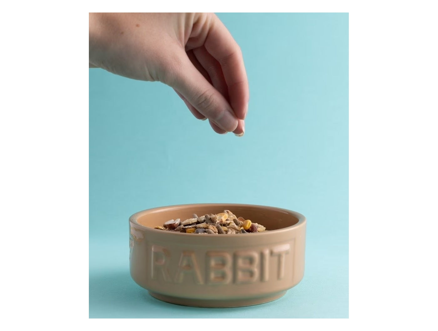 Mason Cash - Cane Lettered Rabbit Bowl 13cm - Buy Online SPR Centre UK