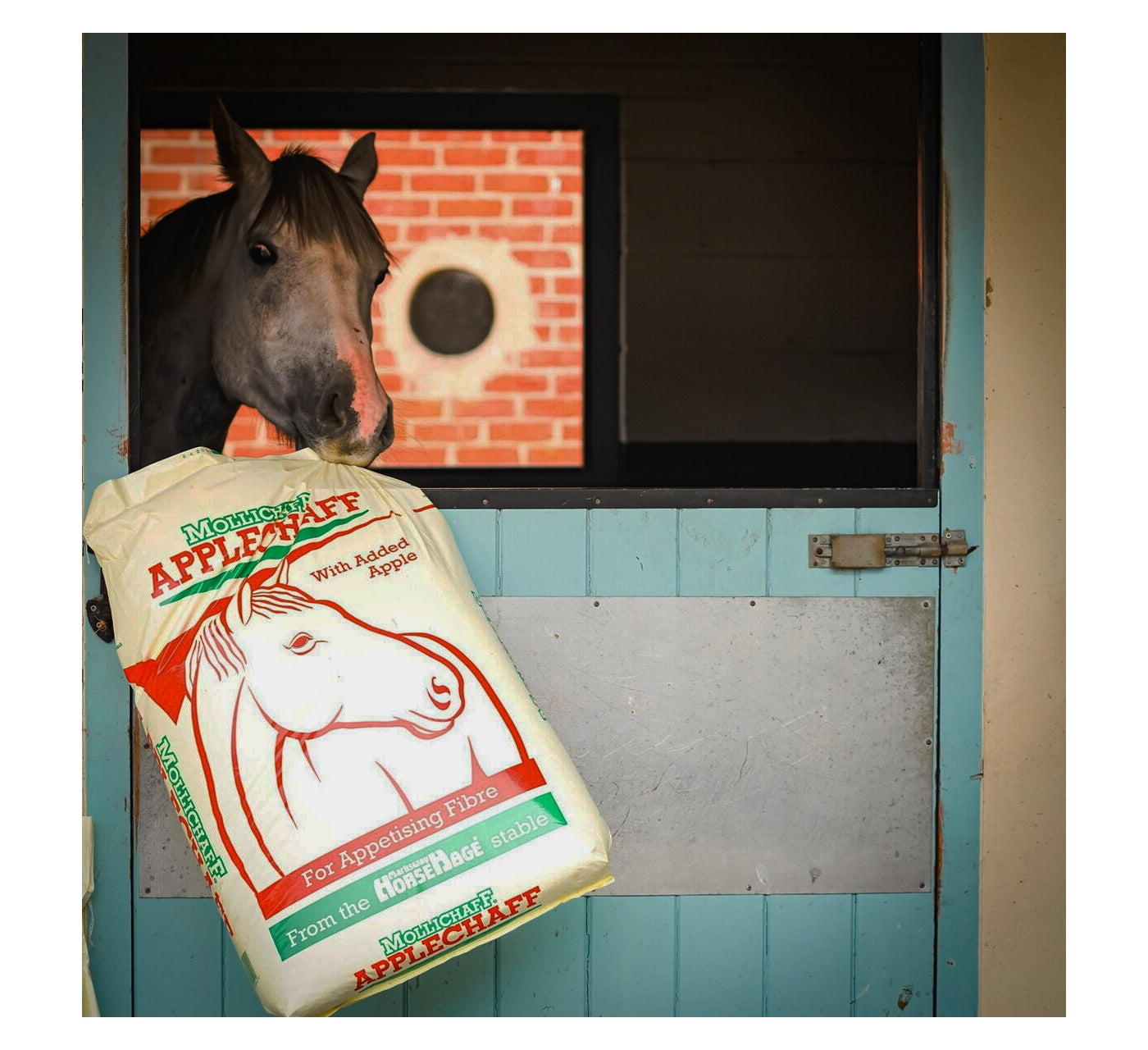 Mollichaff AppleChaff | Horse Feed - Buy Online SPR Centre UK
