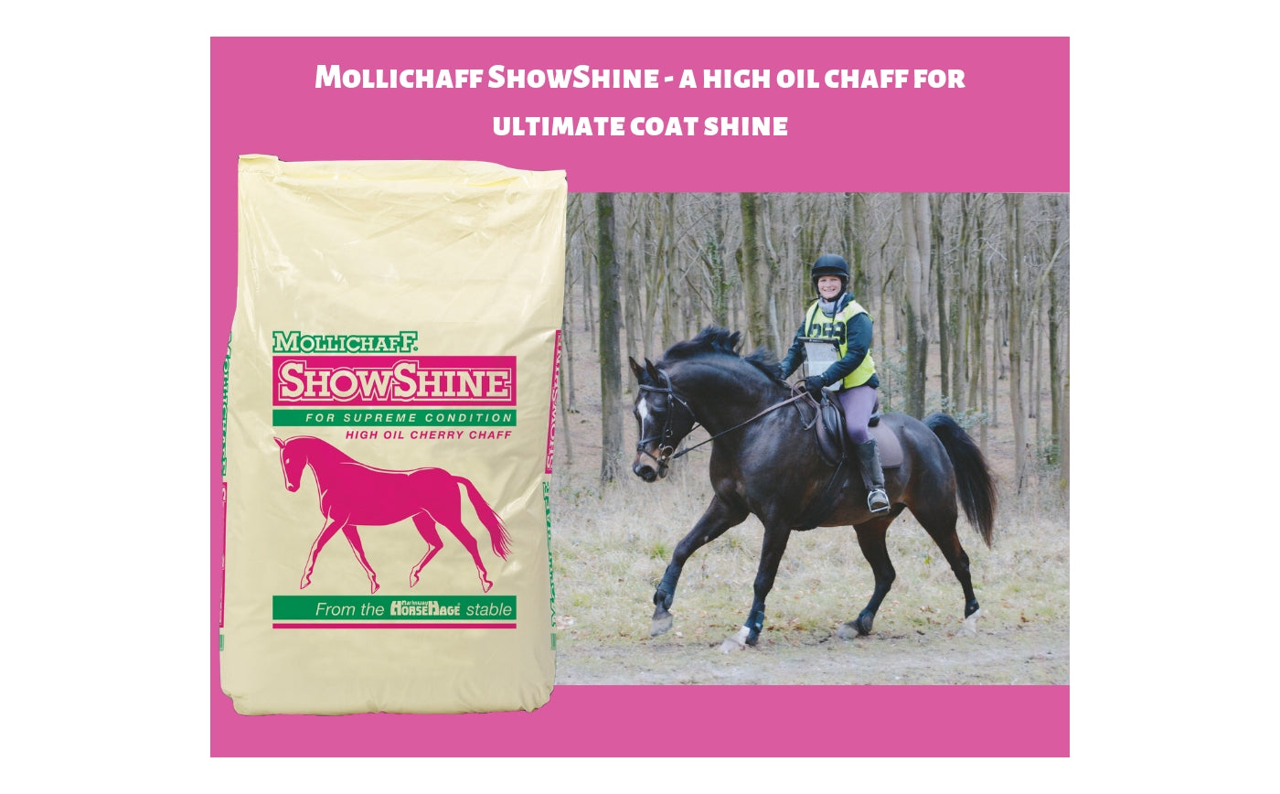 Mollichaff ShowShine | Horse Feed - Buy Online SPR Centre UK