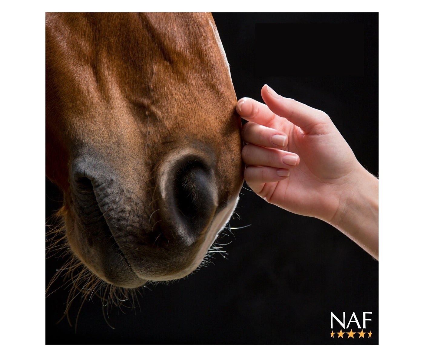 NAF - Limestone Flour 3kg | Horse Care - Buy Online SPR Centre UK