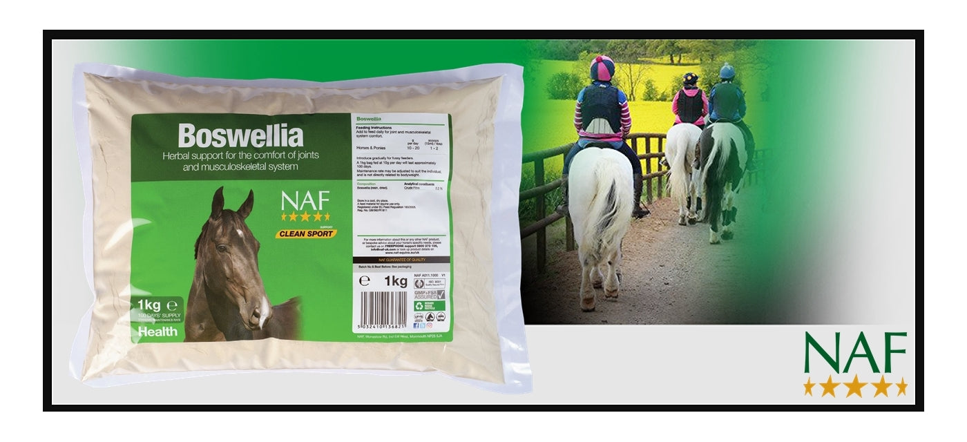 NAF - Boswellia Powder | Horse Care - Buy Online SPR Centre UK