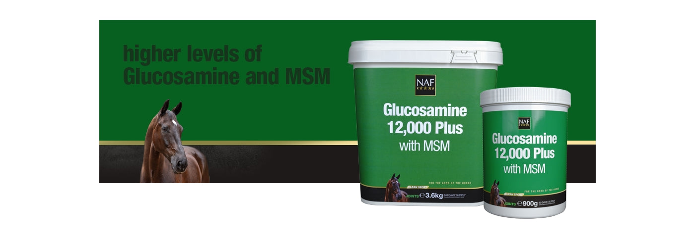 NAF Glucosamine 12,000 Plus with MSM | Equine Joint Care - Buy Online SPR Centre UK