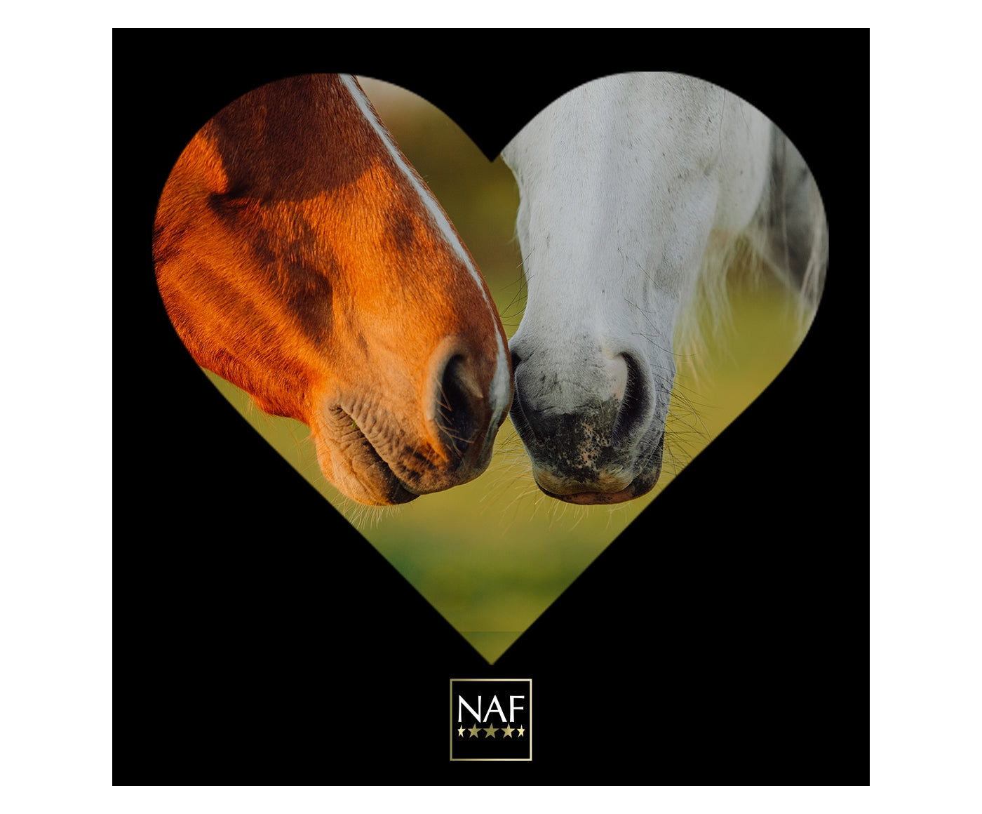 NAF Seaweed | Horse Care Supplement - Buy Online SPR Centre UK