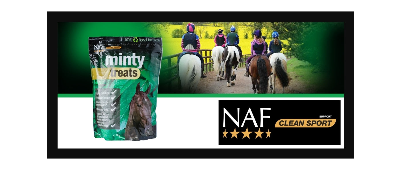 NAF - Minty Treats | Horse Treats - Buy Online SPR Centre UK