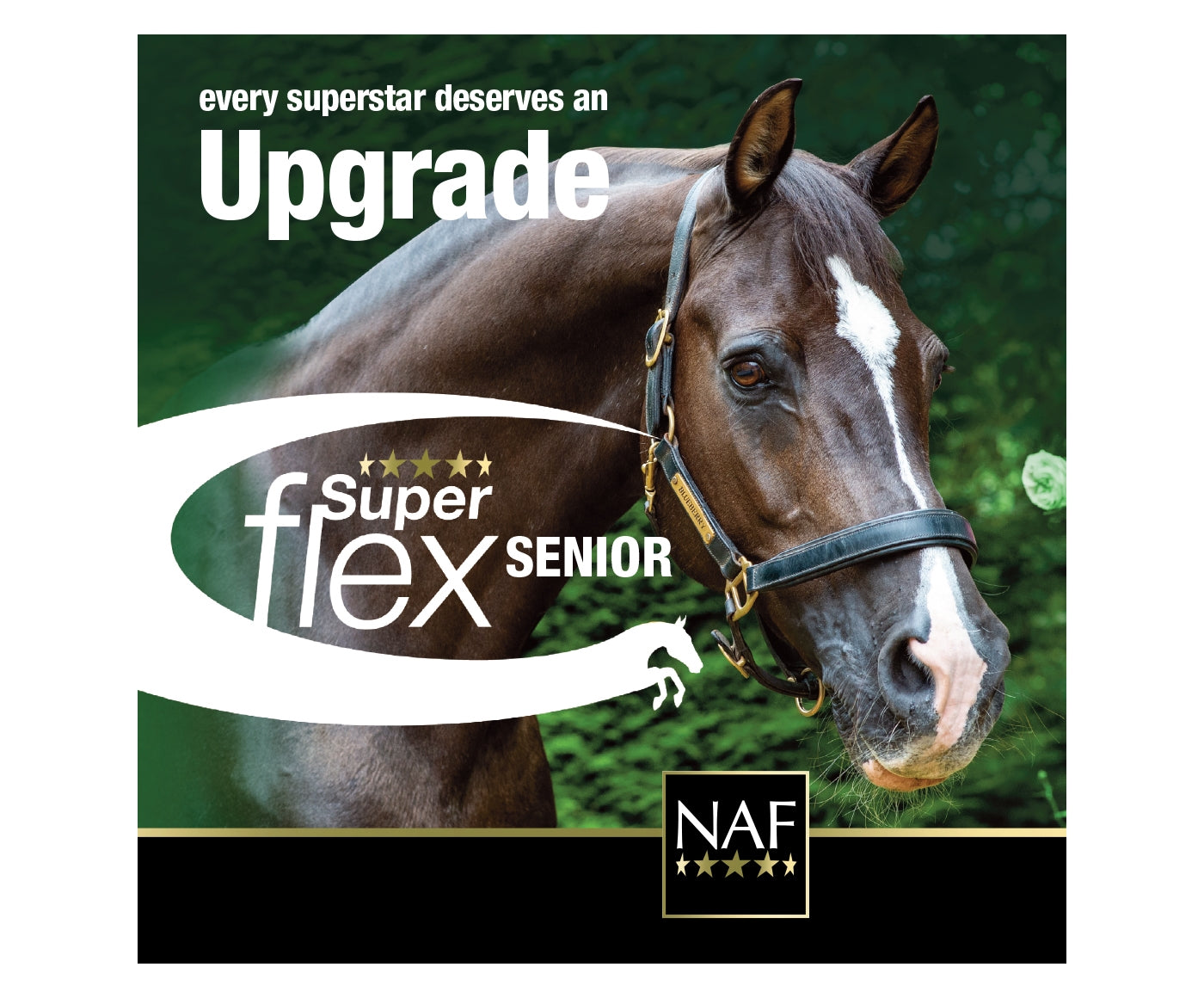 NAF - Superflex Senior 660g | Horse Care - Buy Online SPR Centre UK