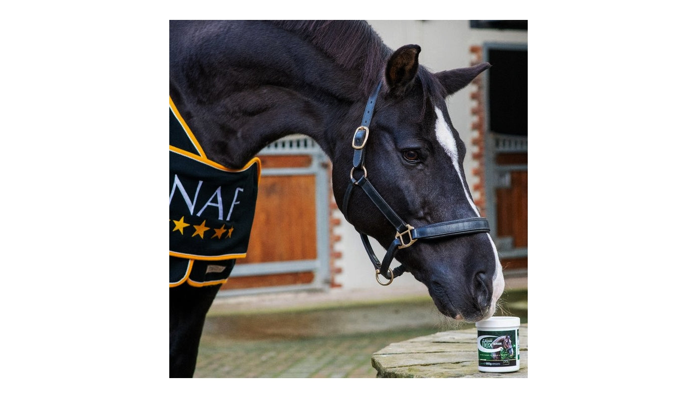 NAF - Superflex Senior 660g | Horse Care - Buy Online SPR Centre UK