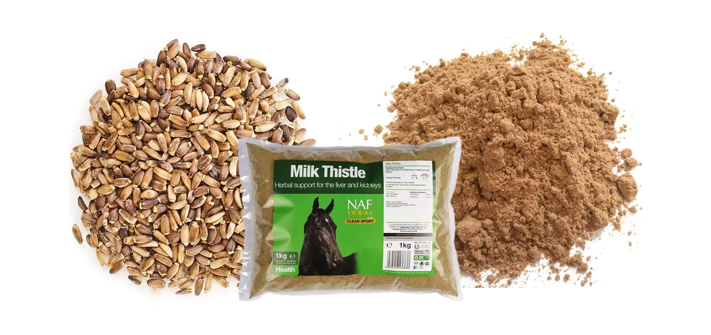 NAF - Milk Thistle 1kg | Horse Care - Buy Online SPR Centre UK