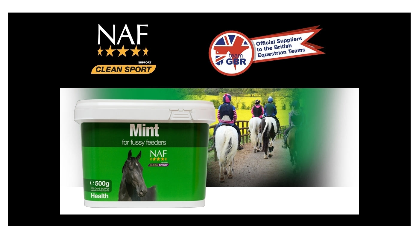 NAF Mint 500g | Horse Care Supplement - Buy Online SPR Centre UK