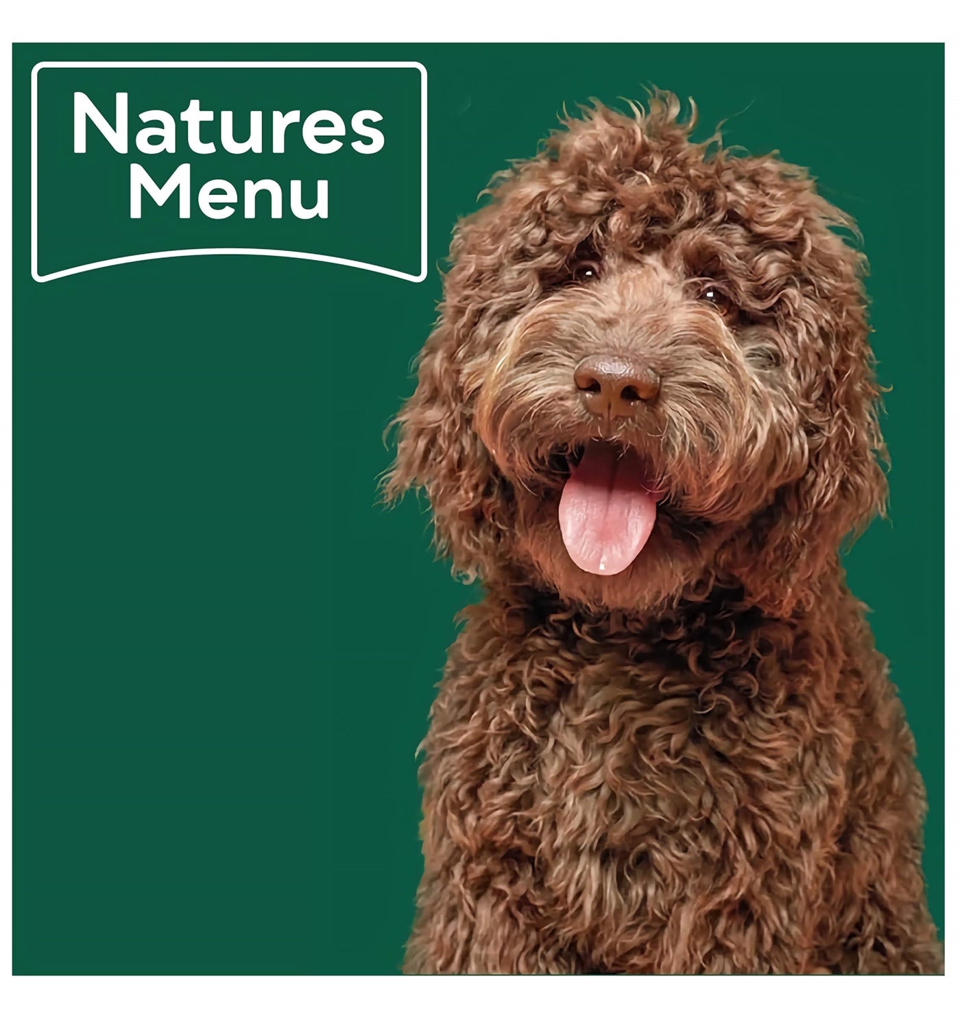 Natures Menu - Country Hunter Game Meat Selection Multipack - 12 x 400g Cans