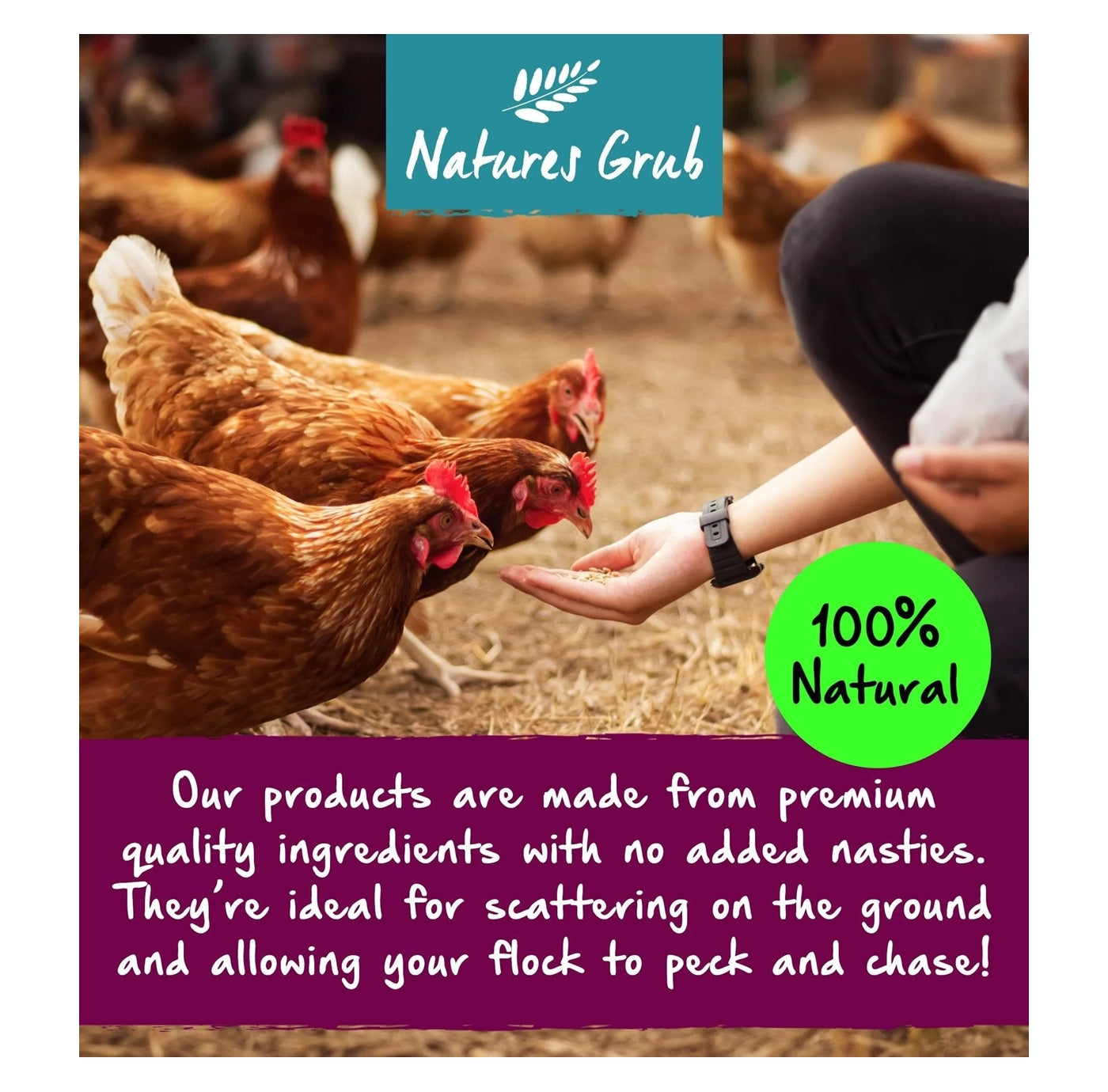 Natures Grub - Fresh Nest Herbs | Hygiene for Hens - Buy Online SPR Centre UK 