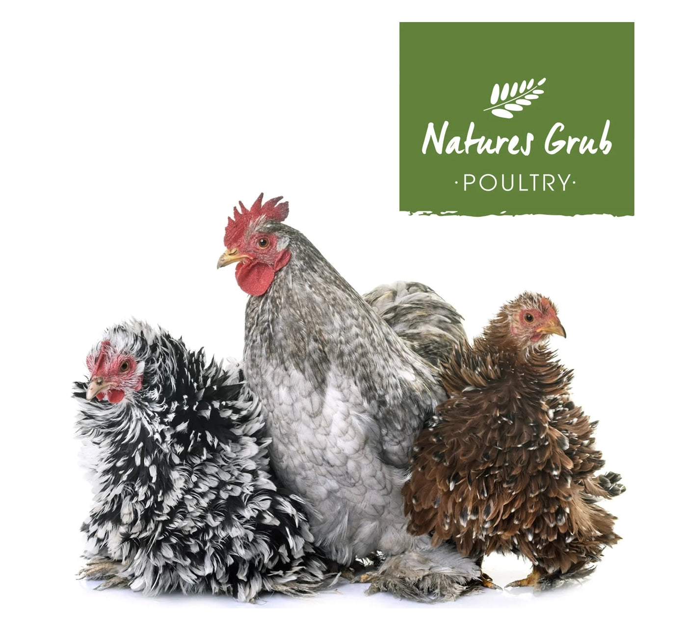 Natures Grub - Fresh Nest Herbs | Hygiene for Hens - Buy Online SPR Centre UK 