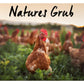 Natures Grub - Fresh Nest Herbs | Hygiene for Hens - Buy Online SPR Centre UK 