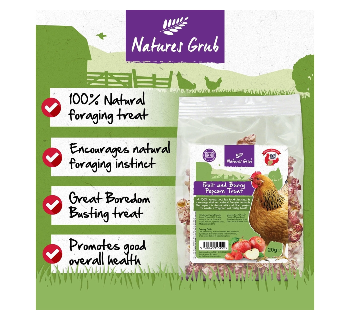 Natures Grub - Fruit & Berry Popcorn Treat for Chickens - Buy Online SPR Centre UK