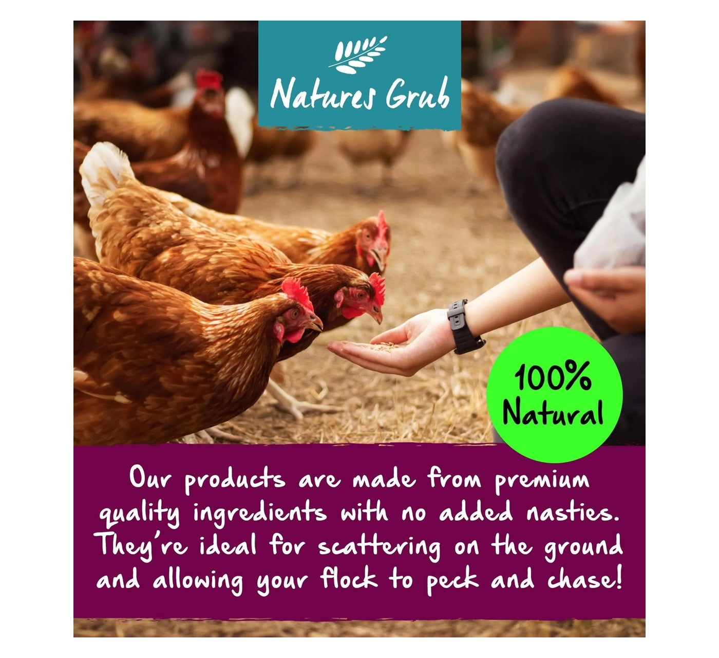 Natures Grub - Fruit & Berry Popcorn Treat for Chickens - Buy Online SPR Centre UK