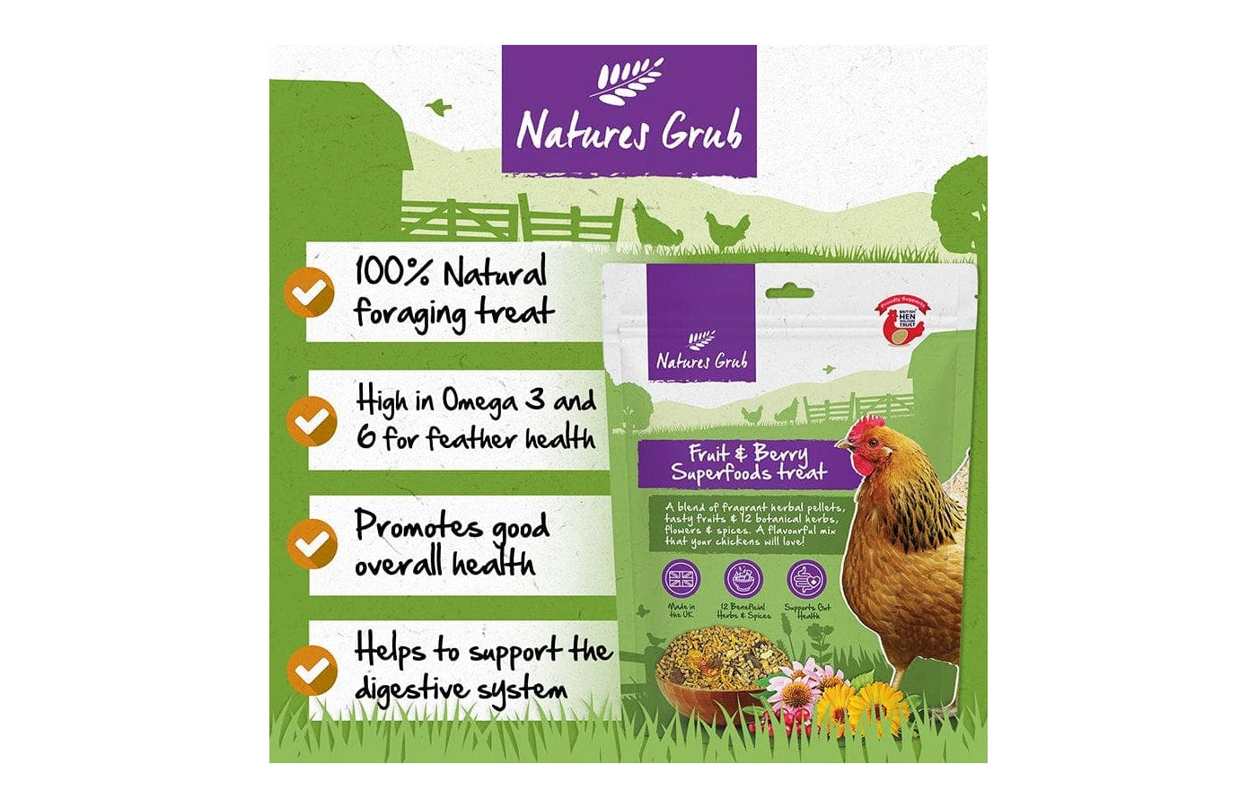 Natures Grub - Fruit & Berry Superfoods Treat - Buy Online SPR Centre UK