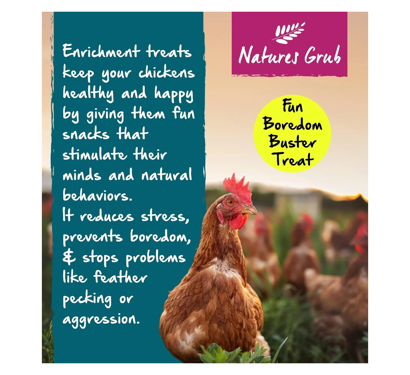 Natures Grub - Fruit & Berry Popcorn Treat for Chickens - Buy Online SPR Centre UK