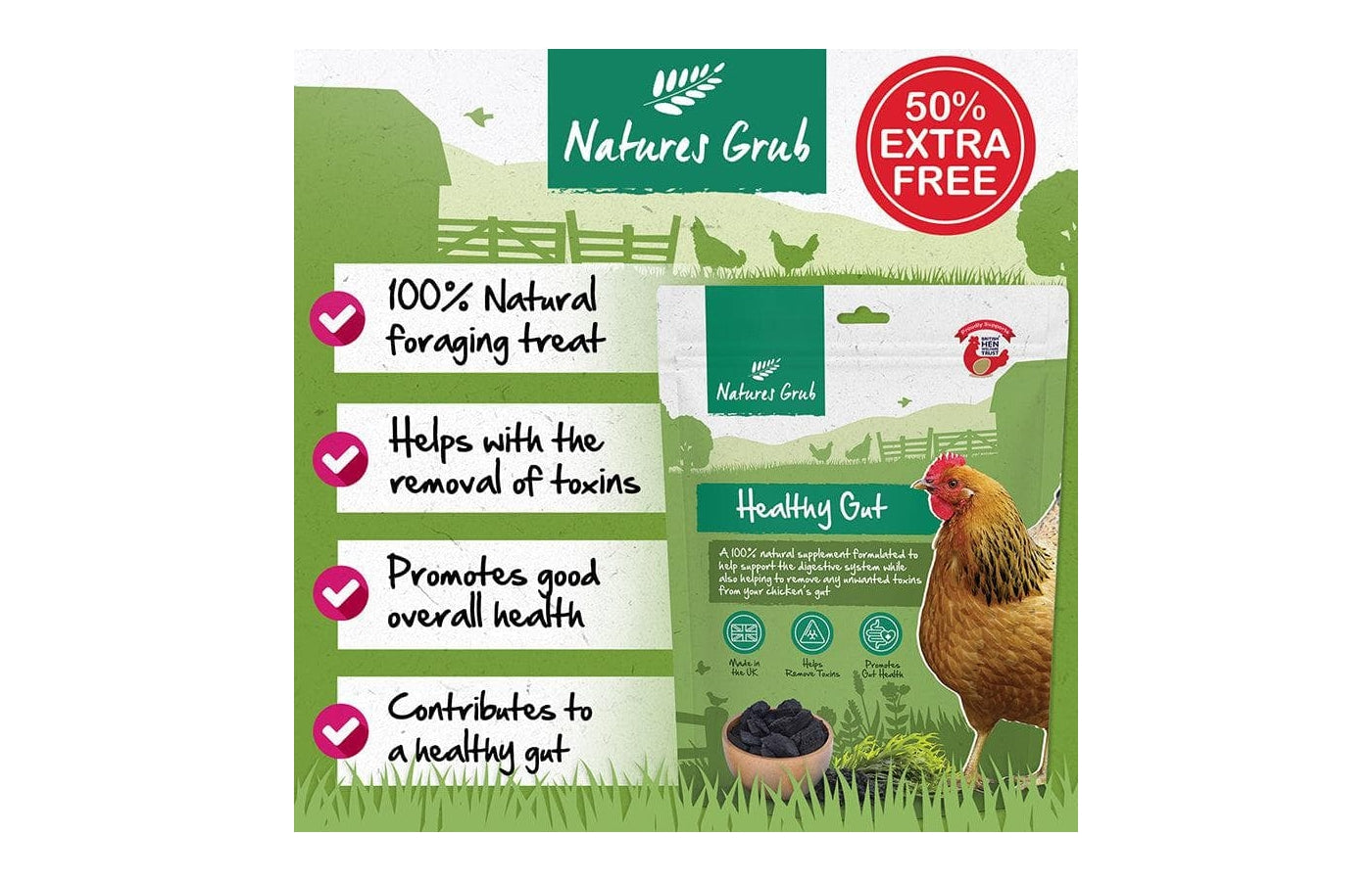 Natures Grub Healthy Gut | Poultry Supplement - Buy Online SPR Centre UK