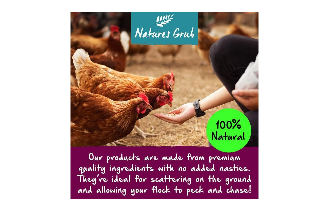 Natures Grub Healthy Gut | Poultry Supplement - Buy Online SPR Centre UK