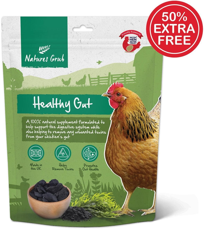 Natures Grub Healthy Gut | Poultry Supplement - Buy Online SPR Centre UK