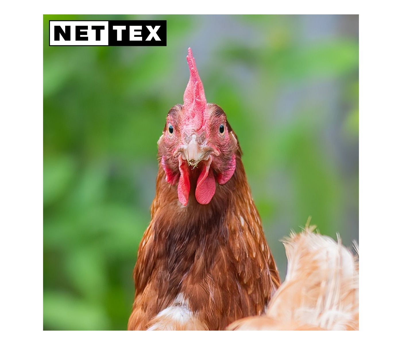 Nettex - Total Mite Kill - Ready To Use Spray - Buy Online SPR Centre UK