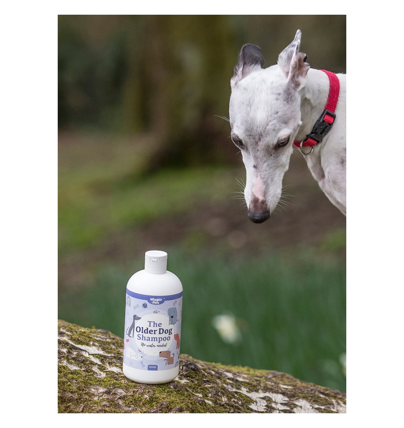 Nilaqua Pets - The Older Dog Shampoo 240ml - Buy Online SPR Centre UK