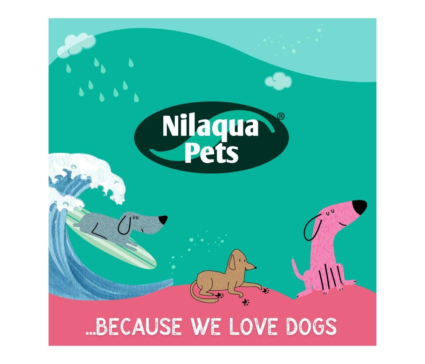 Nilaqua Pets - The Older Dog Shampoo 240ml - Buy Online SPR Centre UK