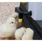 Nipple Drinker for Poultry Chicks 1 litre - Buy Online SPR Centre UK