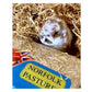 Norfolk Pastures - Dust Extracted Barley Straw 5kg - Buy Online SPR Centre