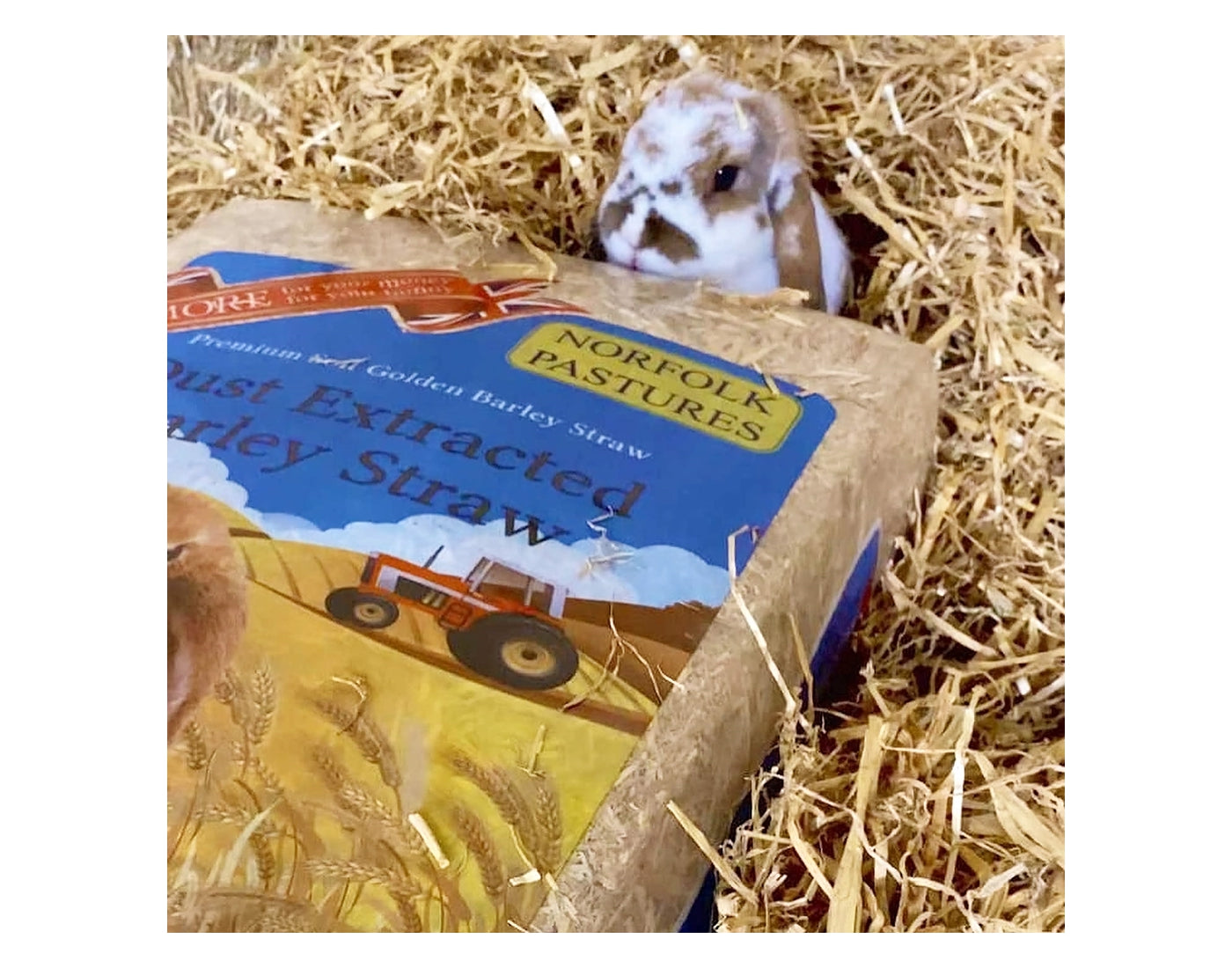 Norfolk Pastures - Dust Extracted Barley Straw 5kg - Buy Online SPR Centre