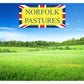 Norfolk Pastures - Dust Extracted Barley Straw 5kg - Buy Online SPR Centre