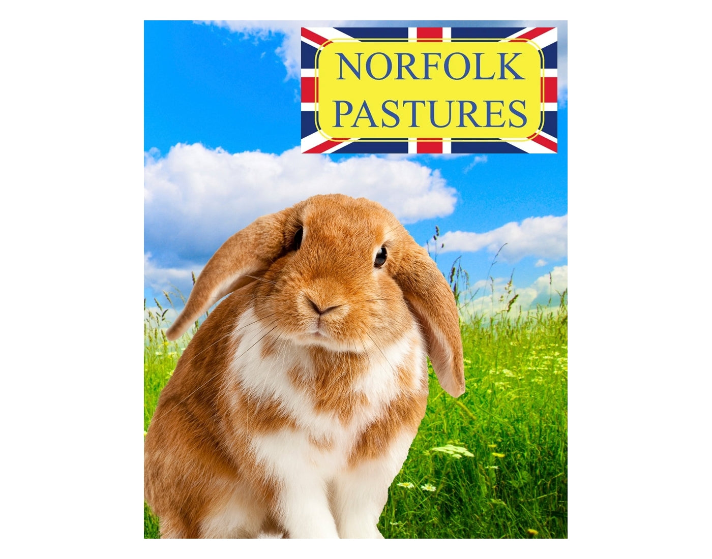Norfolk Pastures - Dust Extracted Barley Straw 5kg - Buy Online SPR Centre