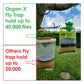 Organ-X - Pro-Formula Fly Trap XL - Buy Online SPR Centre UK
