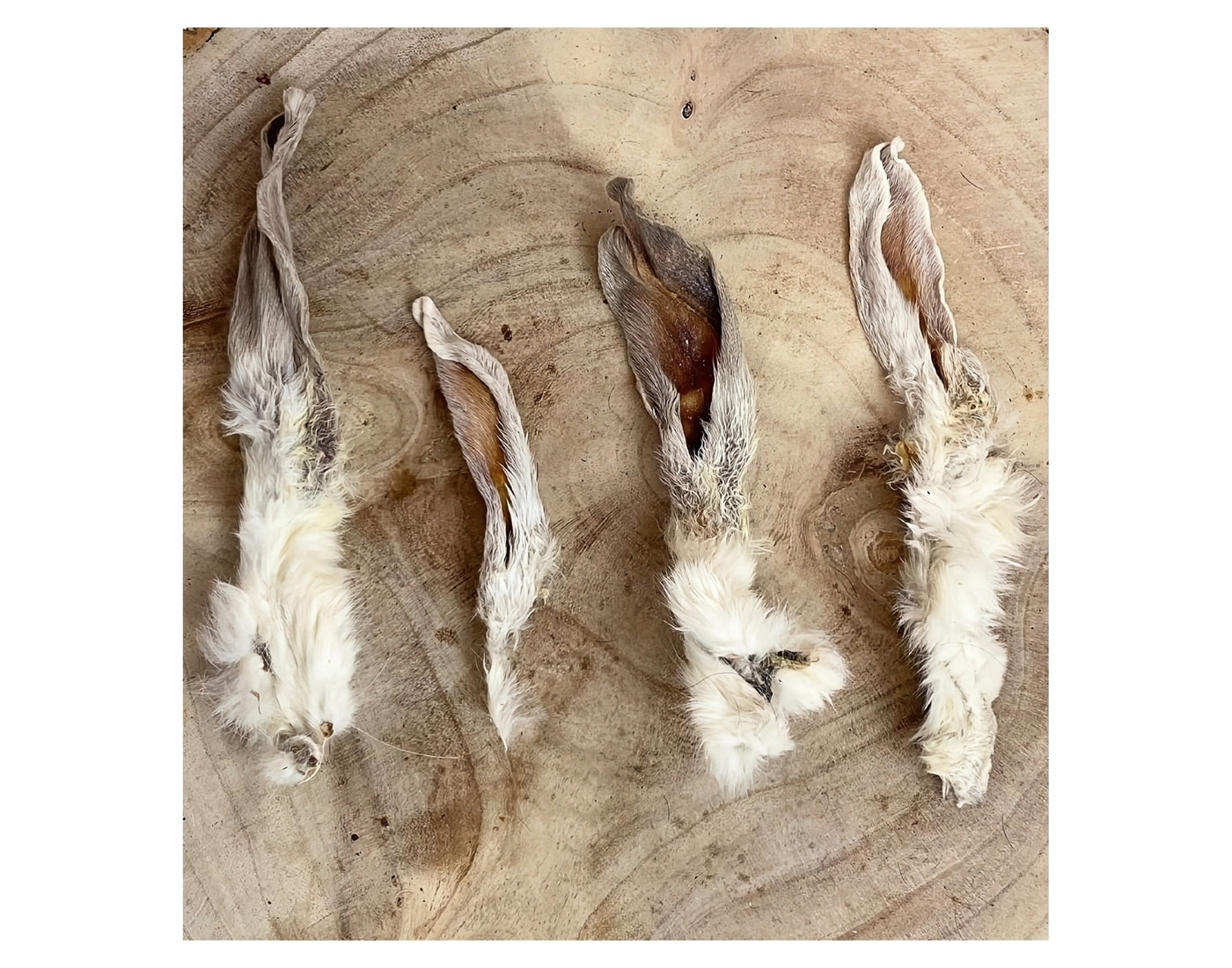 Paddock Farm - Hairy Rabbit Ears 500g - Buy Online SPR Centre UK