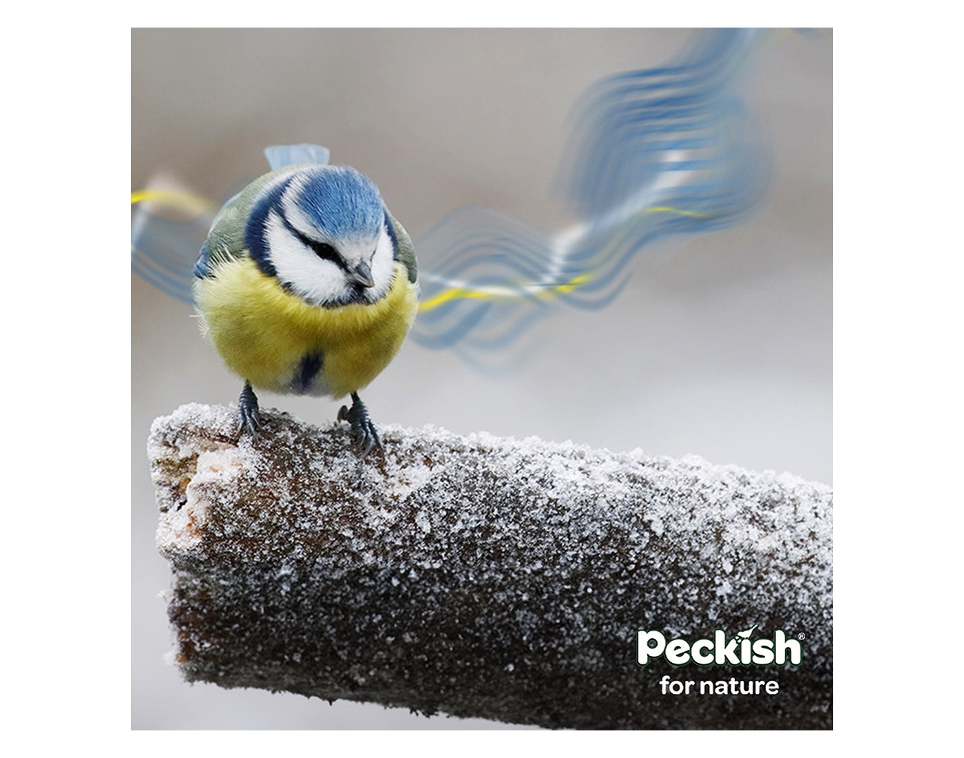 Peckish - Secret Garden Spiral Finch Feeder - Buy Online SPR Centre UK