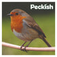 Peckish - Secret Garden Bird Bath - Buy Online SPR Centre UK