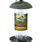 Peckish - Secret Garden Seed Feeder - Buy Online SPR Centre UK