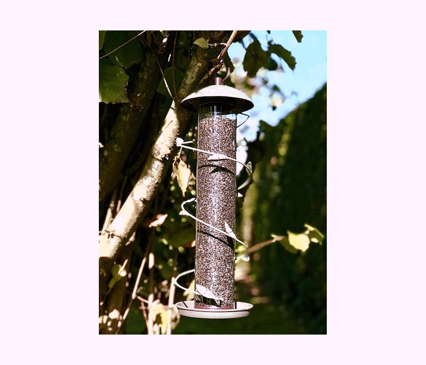 Peckish - Secret Garden Spiral Finch Feeder - Buy Online SPR Centre UK