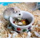 Pet Brands - Mini Mates Paw Print Small Animal Bowl - Buy Online SPR centre UK