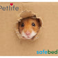 Pet Life - Safebed Paper Flakes 100g - Buy Online SPR Centre UK