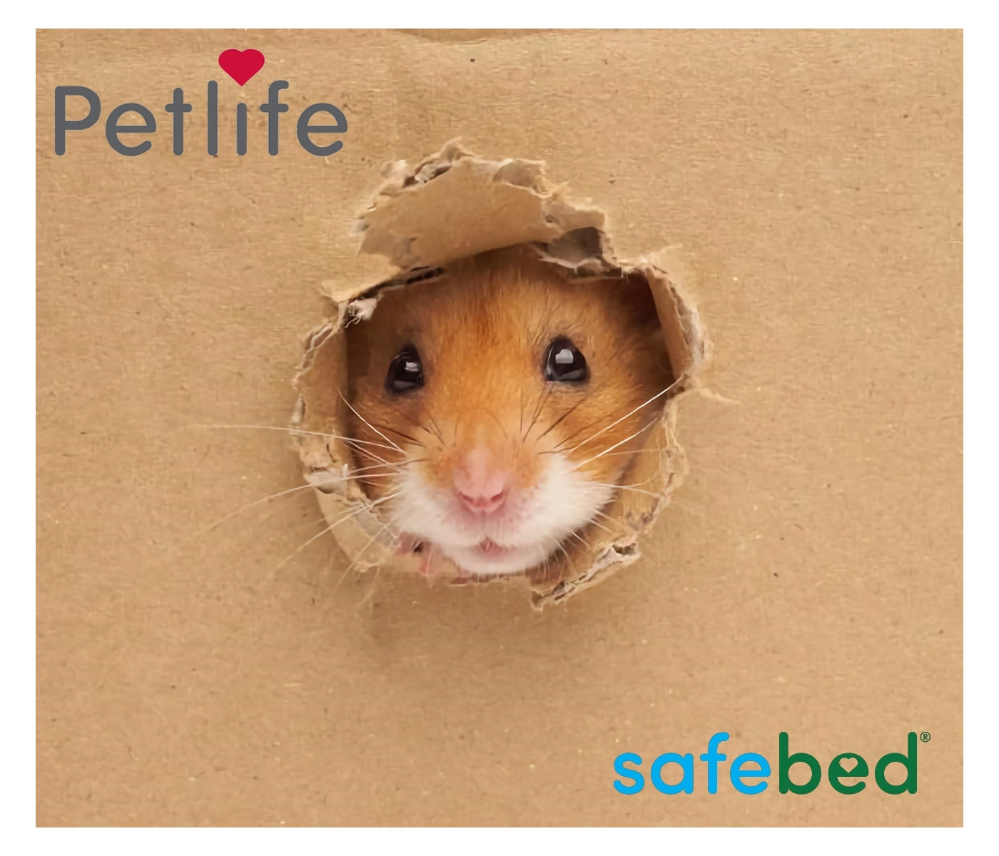 Pet Life - Safebed Paper Flakes 100g - Buy Online SPR Centre UK