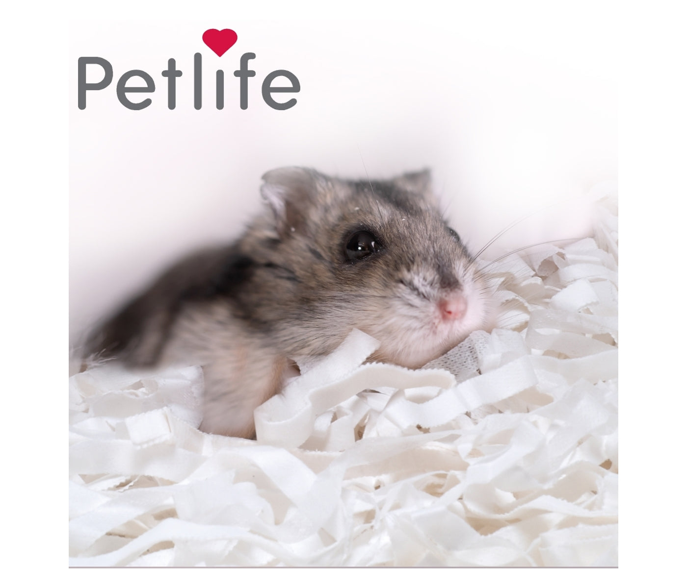 Petlife - Safebed Paper Wool Bedding - Carry Home Bag - Buy Online SPR Centre UK