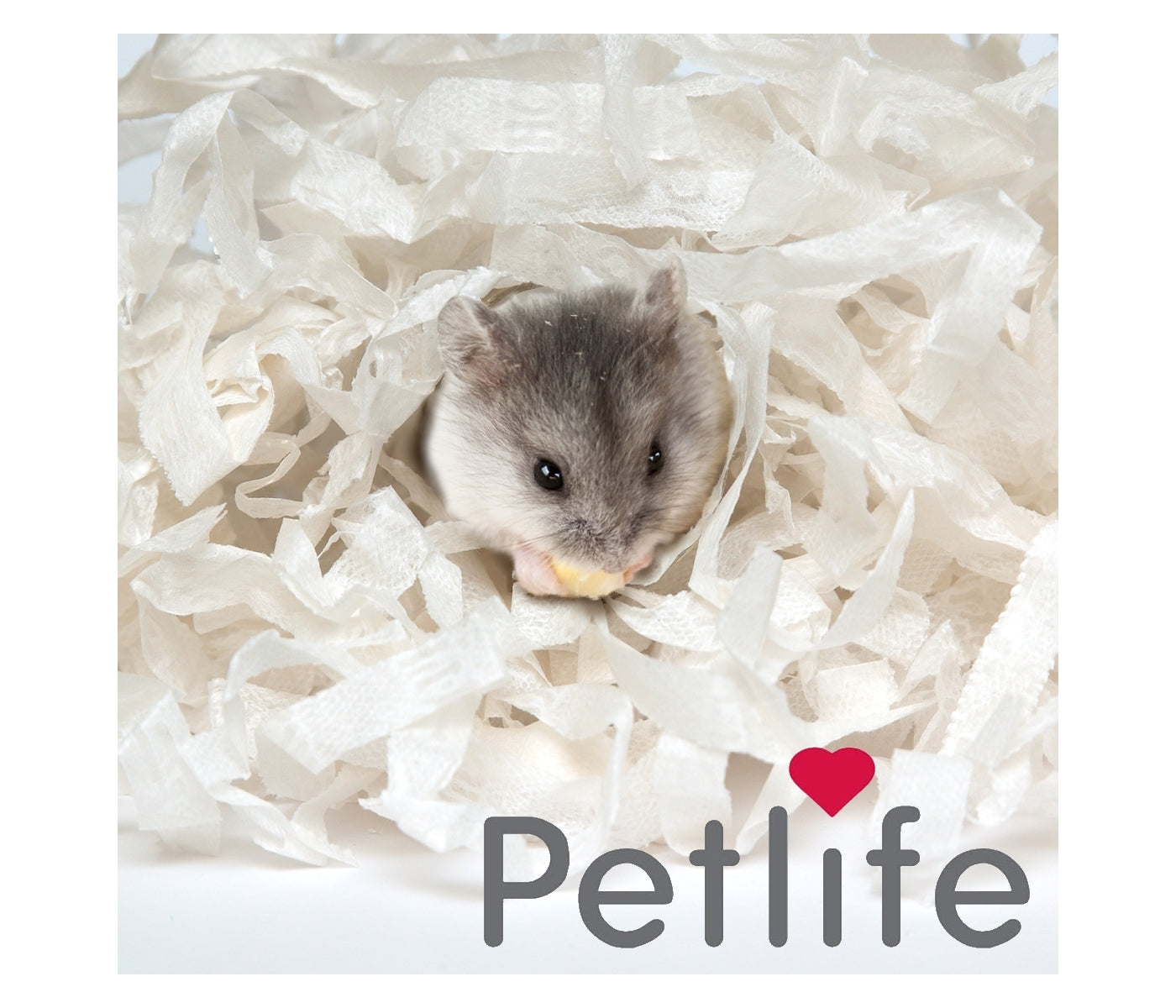 Petlife - Safebed Paper Wool Bedding 100g - Buy Online SPR Centre UK