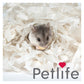 Petlife - Safebed Paper Wool Bedding - Carry Home Bag - Buy Online SPR Centre UK