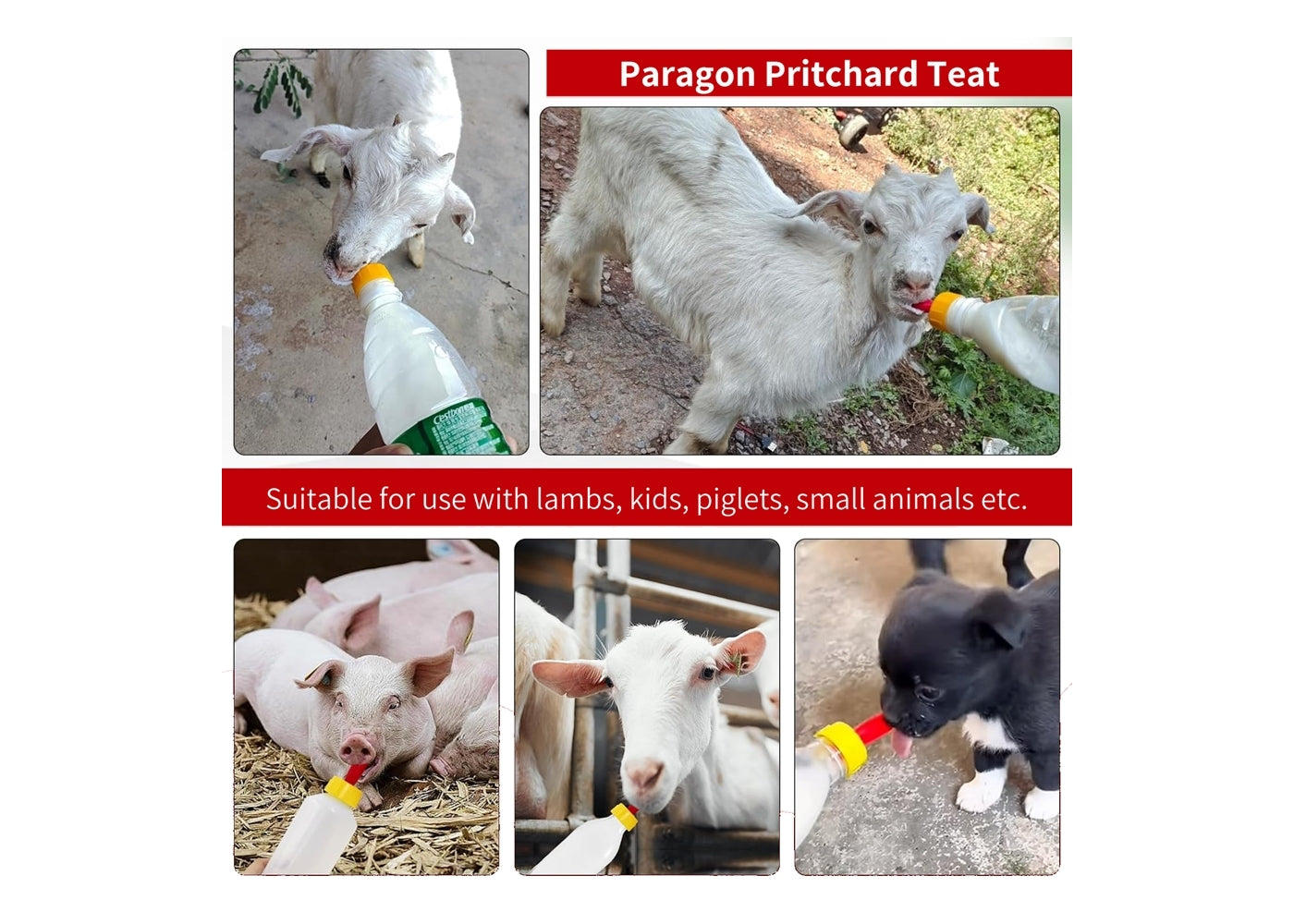 Pritchard Teat (Each)