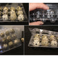Recycled Plastic Quail Egg Boxes - Pack of 25 - Buy Online SPR Centre UK