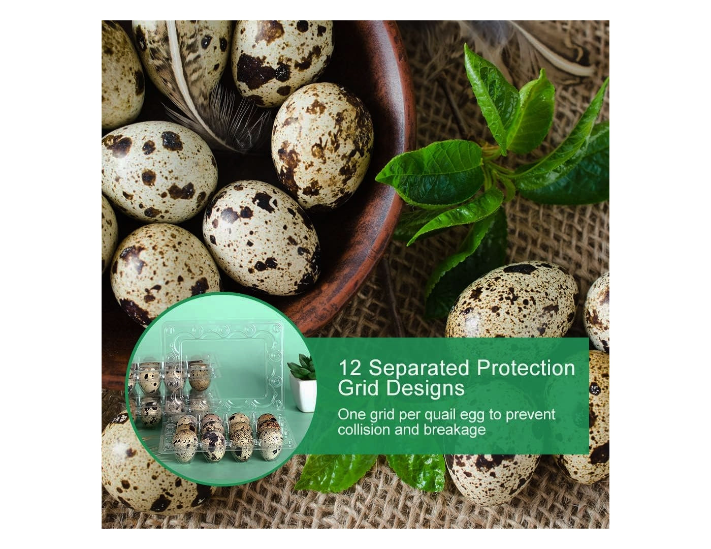 Recycled Plastic Quail Egg Boxes - Pack of 25 - Buy Online SPR Centre UK