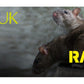 Racan - Rat Cage Trap | Pest Control - Buy Online SPR Centre UK