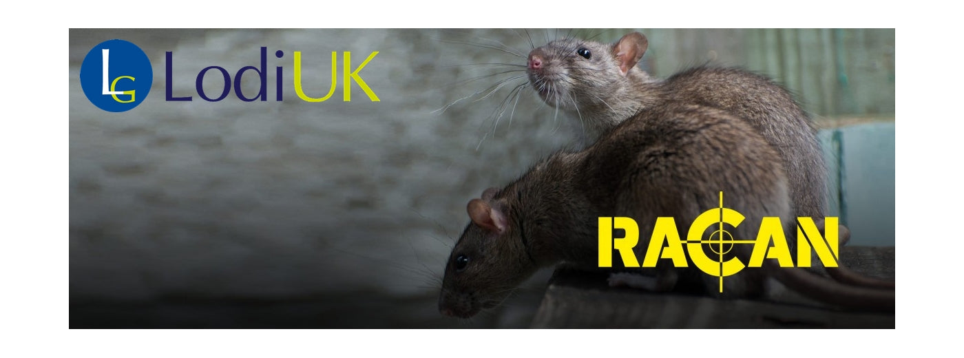 Racan - Rat Cage Trap | Pest Control - Buy Online SPR Centre UK