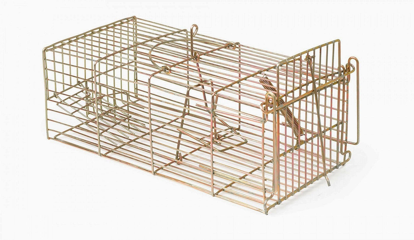 Racan - Rat Cage Trap | Pest Control - Buy Online SPR Centre UK