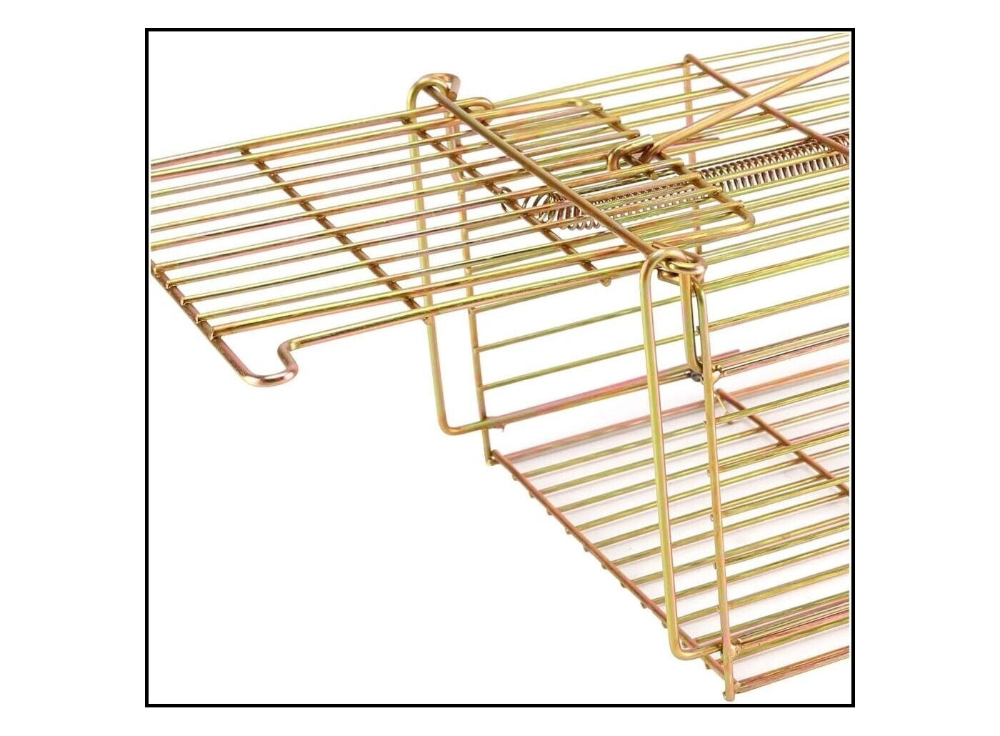 Racan - Rat Cage Trap | Pest Control - Buy Online SPR Centre UK